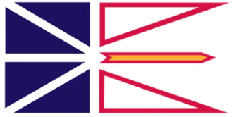 Newfoundland Corporation